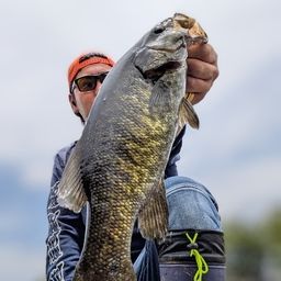 スモールマウスバス