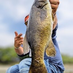 スモールマウスバス