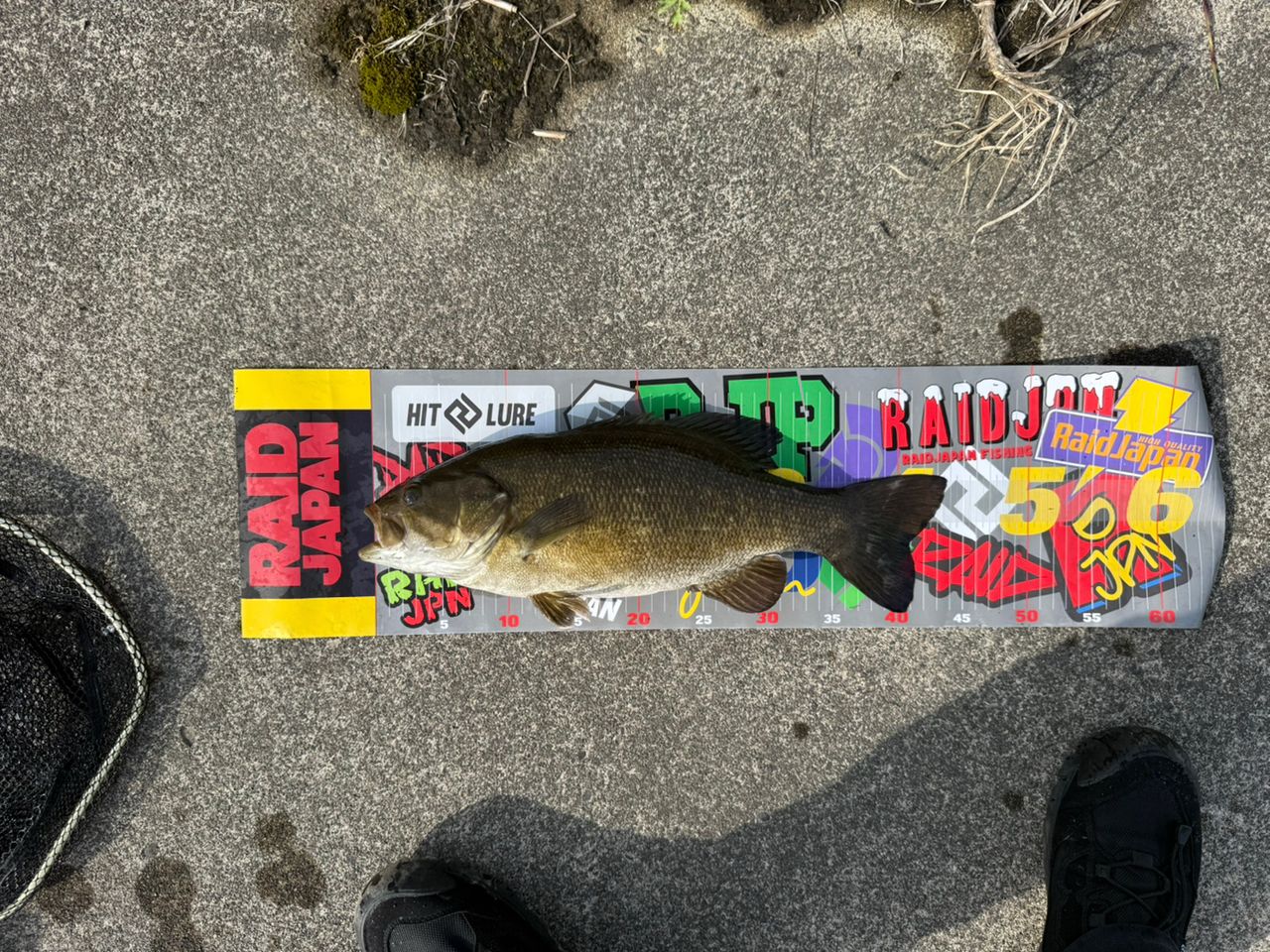 スモールマウスバス