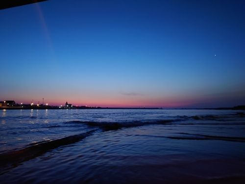 クサフグの釣果