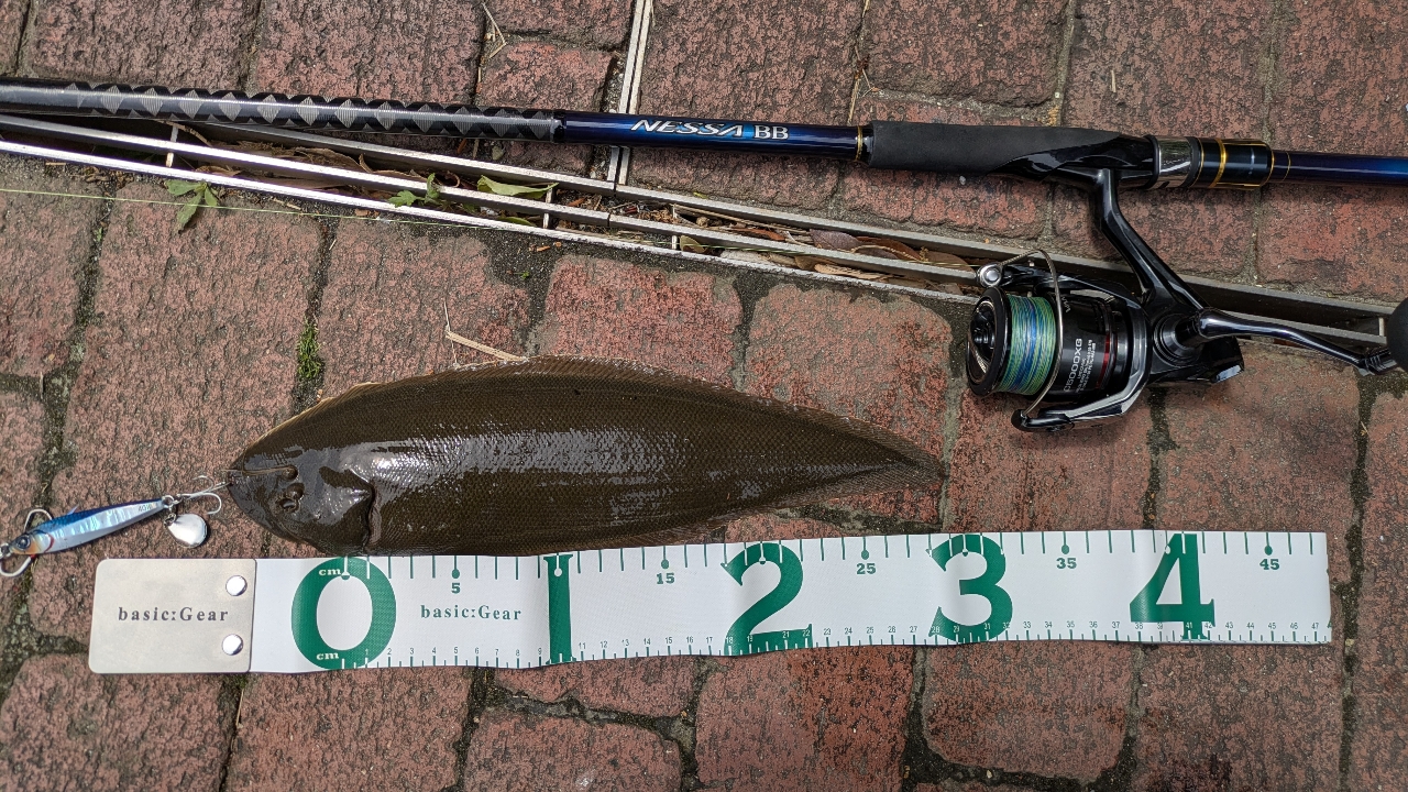 SHIMANO 22ネッサ BB S108M+の最安値・インプレ・釣果 | 本音の