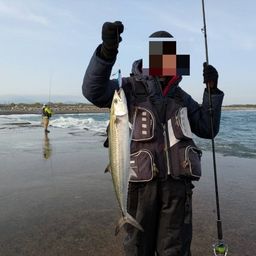 サゴシ