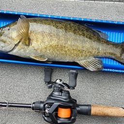 スモールマウスバス