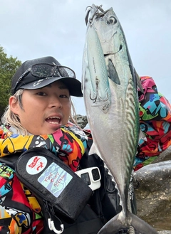 ハガツオの釣果