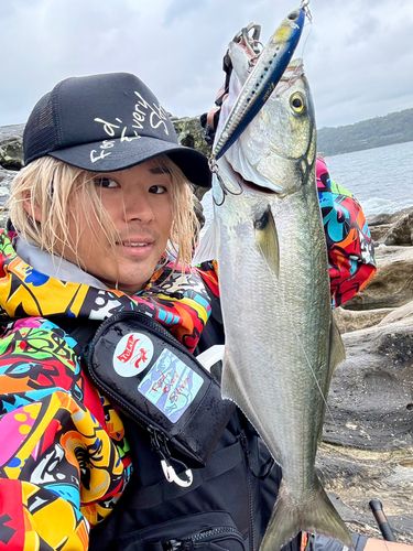 テイラーの釣果