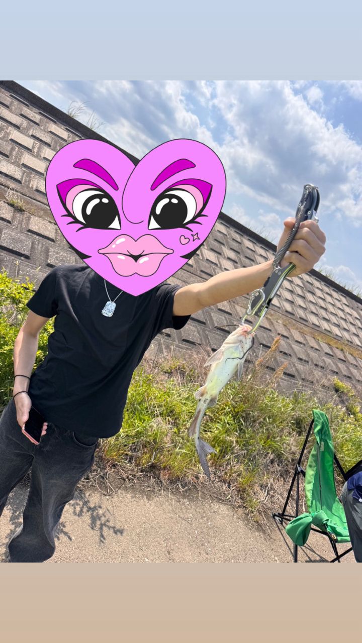 アメリカナマズ