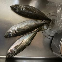アジ