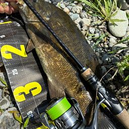 スモールマウスバス