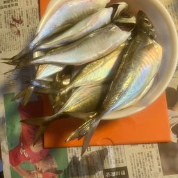 アジ