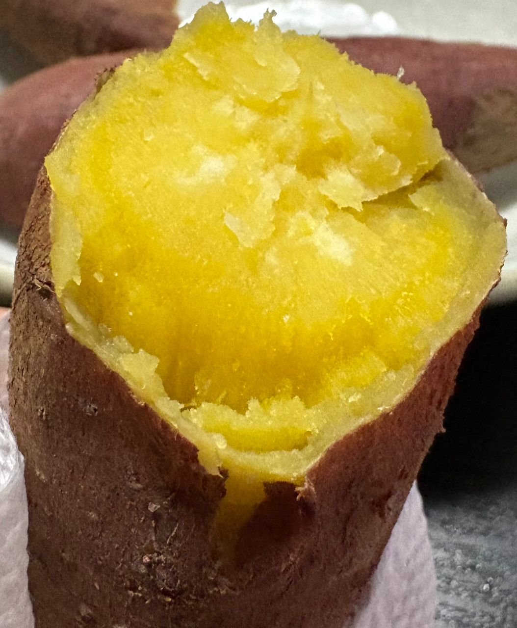 龍宮太郎さんの釣果 2枚目の画像