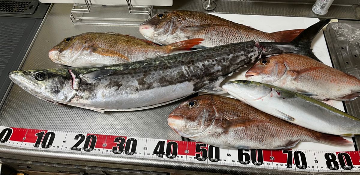 赤バードさんの釣果 3枚目の画像