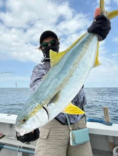 ヒラマサの釣果