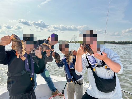 シロメバルの釣果