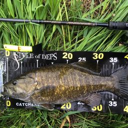 スモールマウスバス