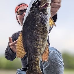 スモールマウスバス