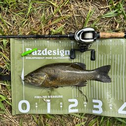 スモールマウスバス