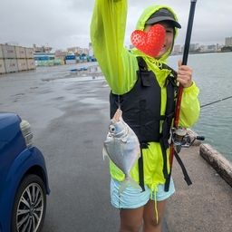 セイタカヒイラギ