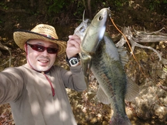 ブラックバスの釣果