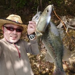 ブラックバス