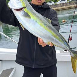 ハマチ