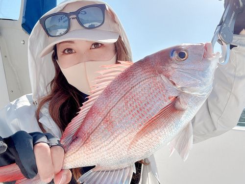 タイの釣果