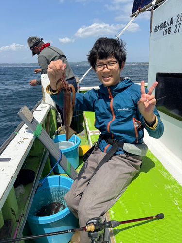 マルイカの釣果