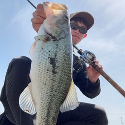 ブラックバス