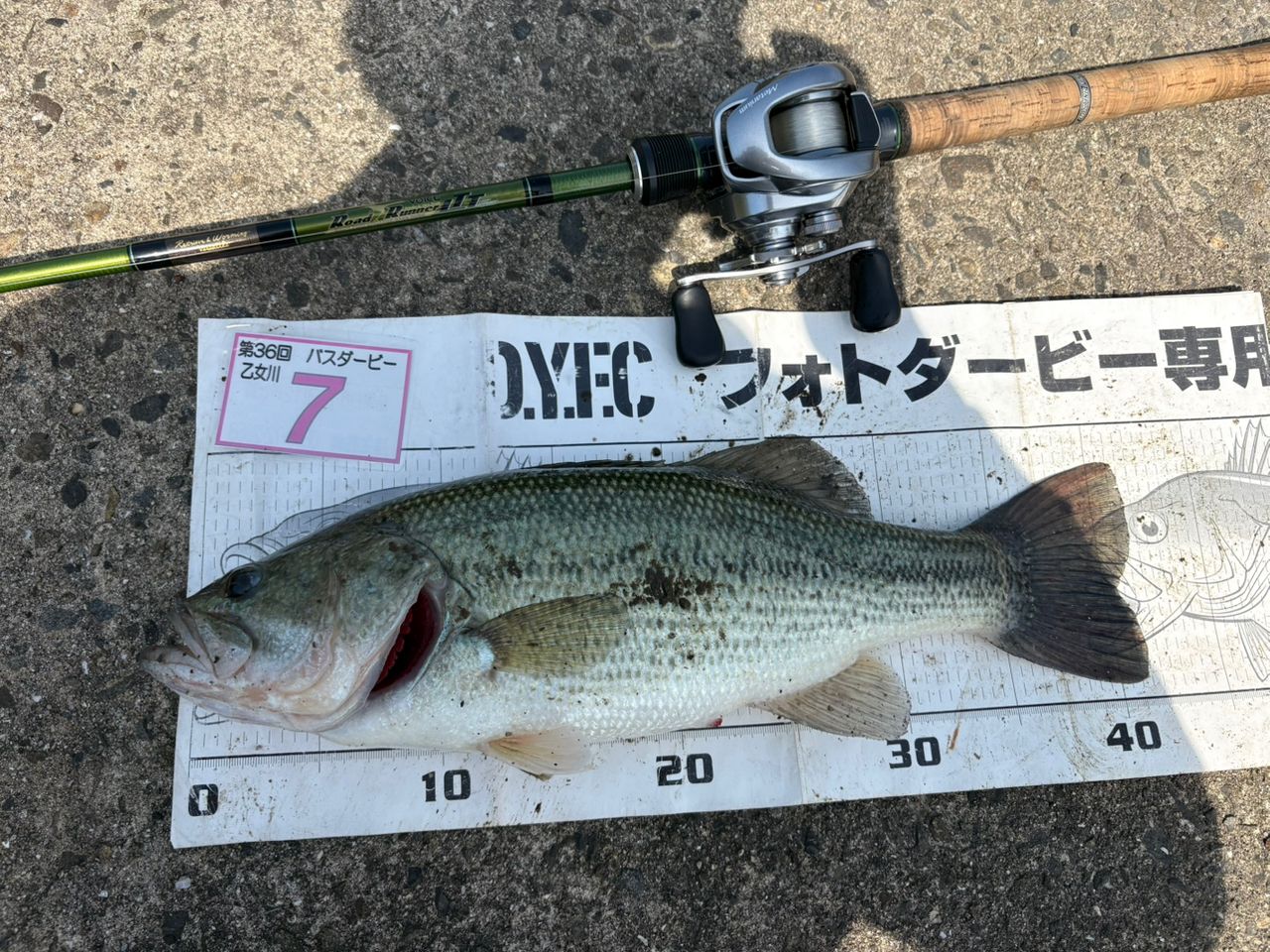 ブラックバス
