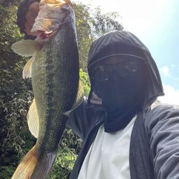 ラージマウスバス