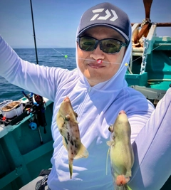 カワハギの釣果