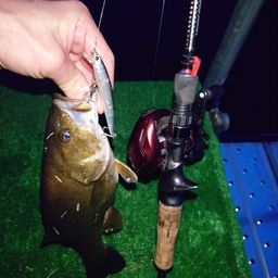 スモールマウスバス