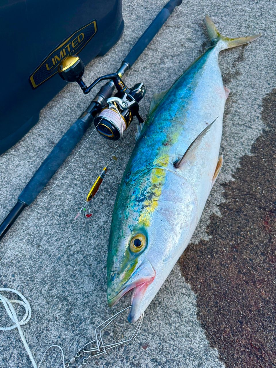 SHIMANO 22コルトスナイパー リミテッド S106H/PSの最安値