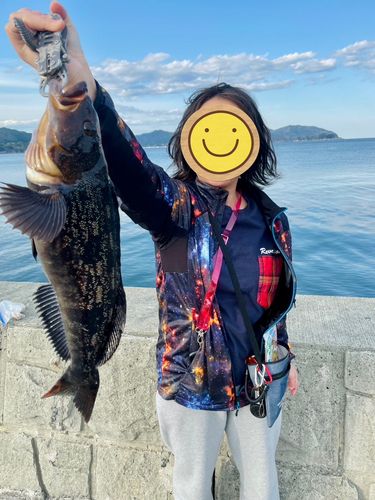 アイナメの釣果