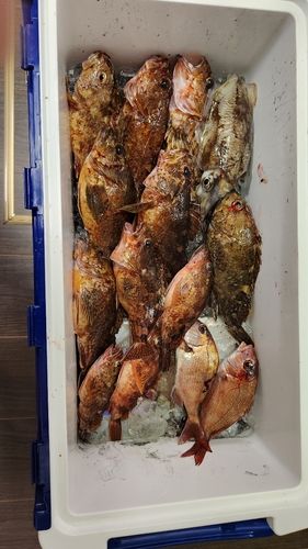 釣果