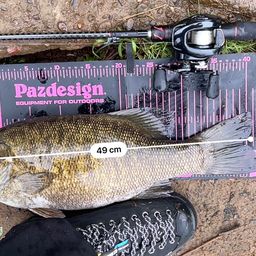 スモールマウスバス