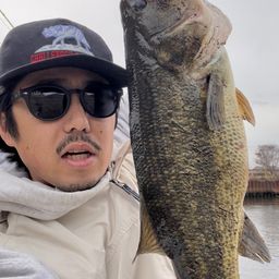 ラージマウスバス