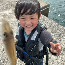 シロギス