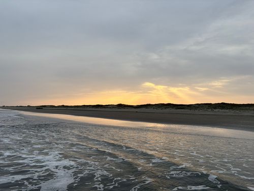 シタビラメの釣果