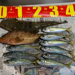 アジ