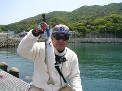 サケの釣果