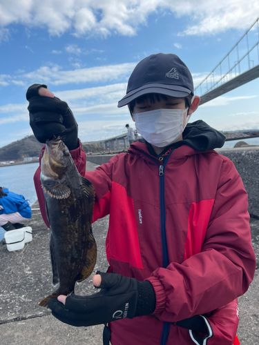 アイナメの釣果