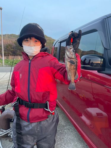 エゾメバルの釣果