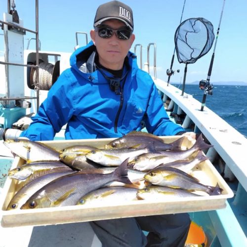 イサキの釣果