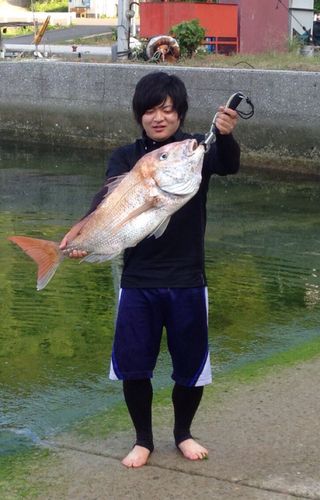 タイの釣果