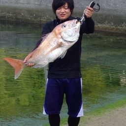 タイ