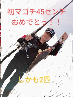 マゴチの釣果