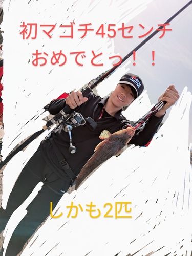 マゴチの釣果