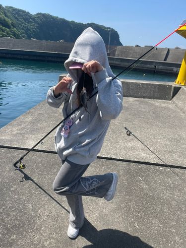 メジナ