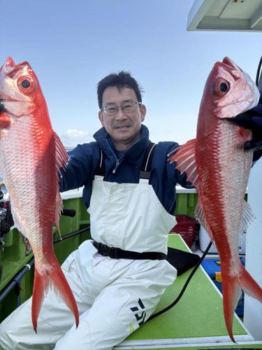 ハマダイの釣果