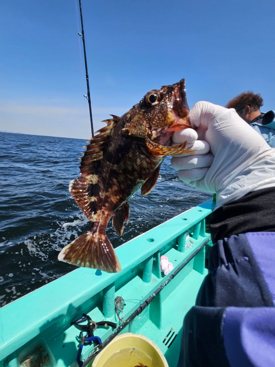 ひーたん釣人さんの釣果 2枚目の画像